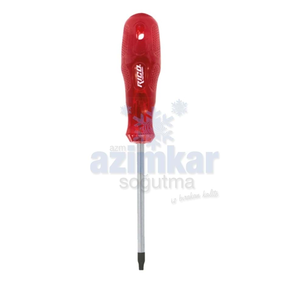 TORX TORNAVİDA T-30 BAY-TEC