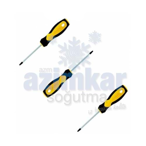 TORX TORNAVİDA T-25 RİCO